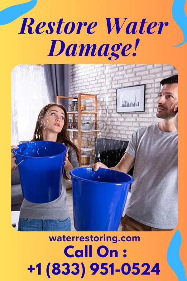 water restoration Power Water Mitigation Services Bayville