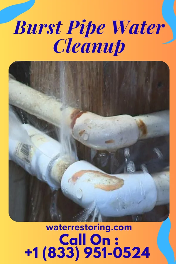 Burst Pipe Water Cleanup in Bayville, NY