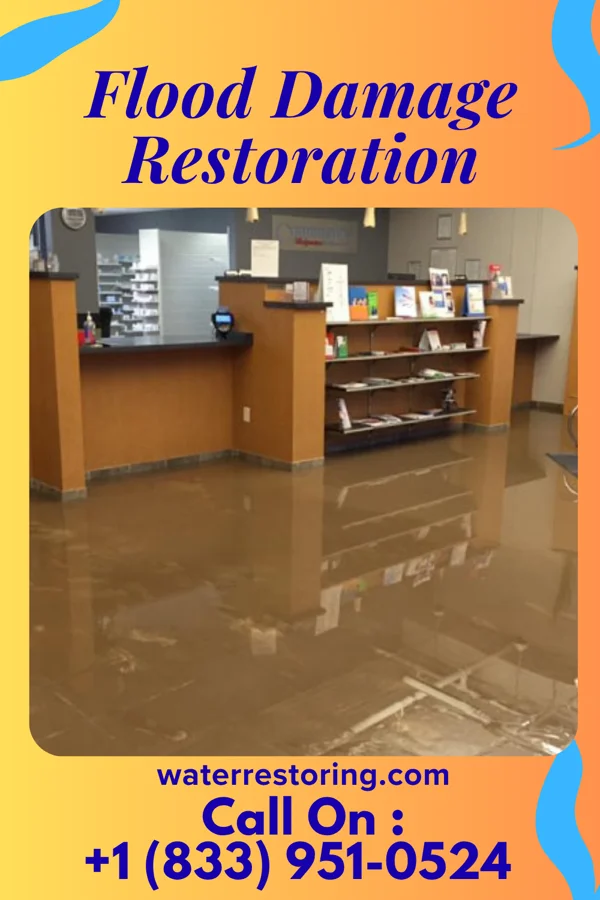 Flood Damage Restoration in Bayville, NY