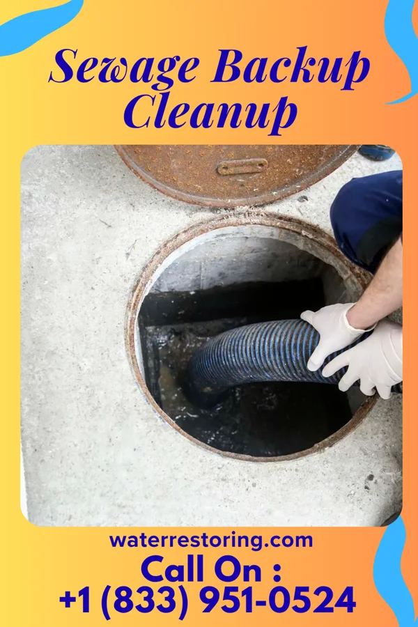 Sewage Backup Cleanup in Bayville, NY