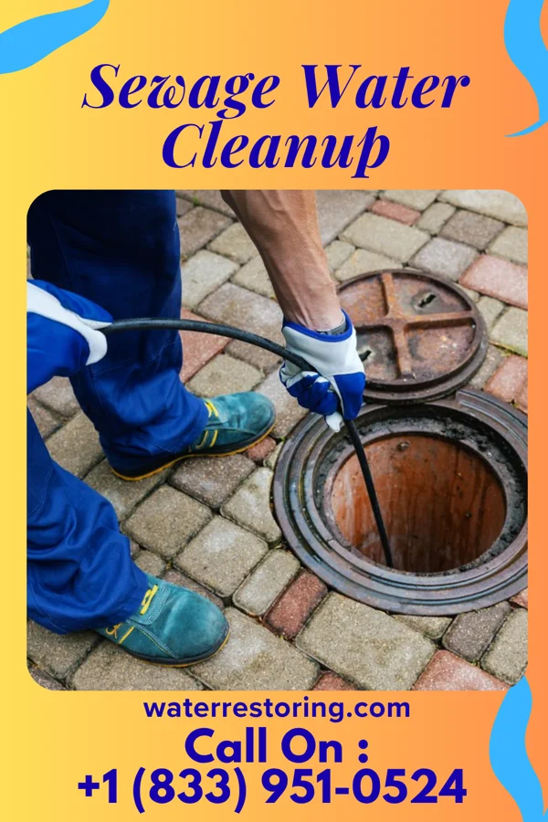 Sewage Water Cleanup in Bayville, NY